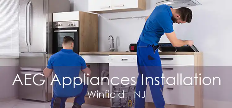 AEG Appliances Installation Winfield - NJ