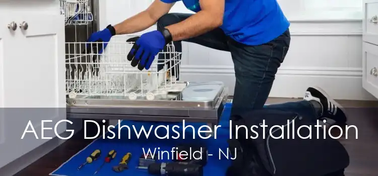 AEG Dishwasher Installation Winfield - NJ