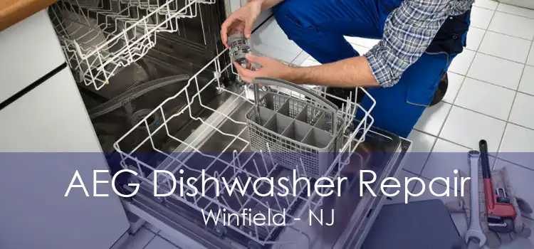 AEG Dishwasher Repair Winfield - NJ