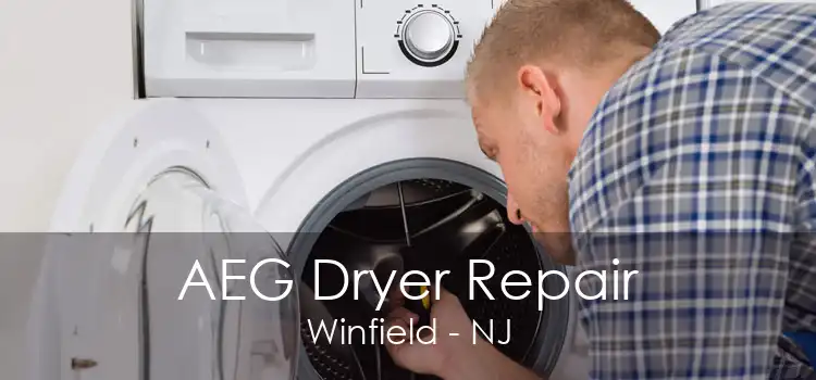 AEG Dryer Repair Winfield - NJ