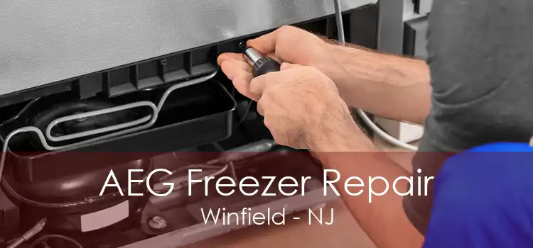 AEG Freezer Repair Winfield - NJ