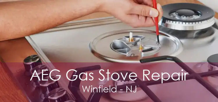 AEG Gas Stove Repair Winfield - NJ