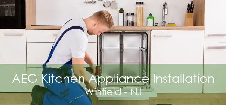 AEG Kitchen Appliance Installation Winfield - NJ