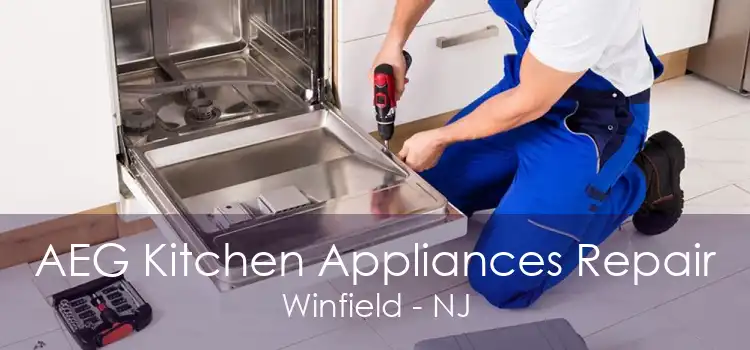 AEG Kitchen Appliances Repair Winfield - NJ