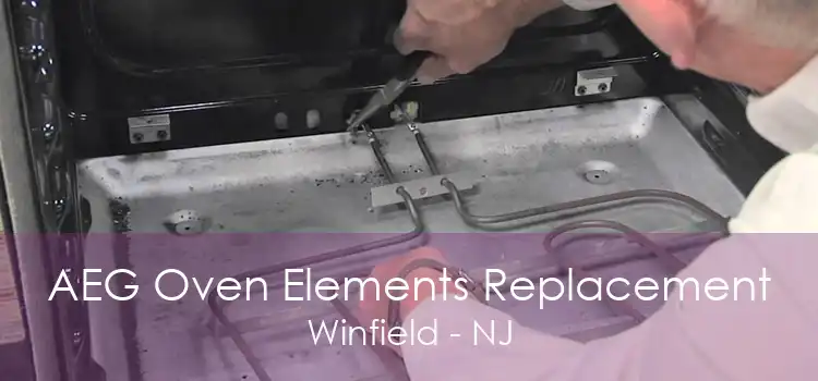 AEG Oven Elements Replacement Winfield - NJ