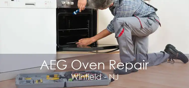 AEG Oven Repair Winfield - NJ