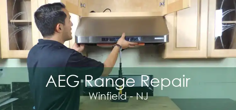 AEG Range Repair Winfield - NJ