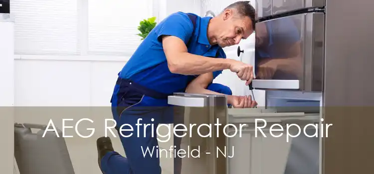 AEG Refrigerator Repair Winfield - NJ