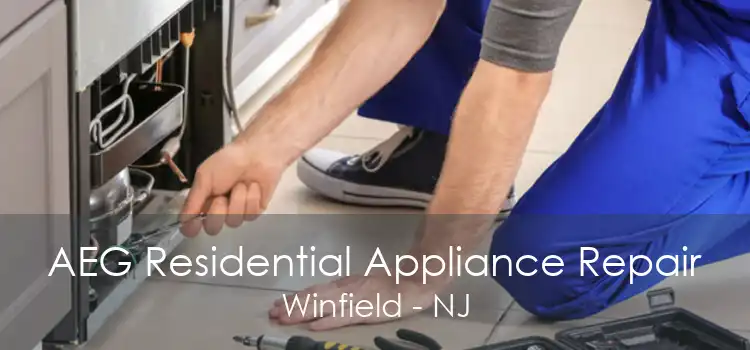 AEG Residential Appliance Repair Winfield - NJ
