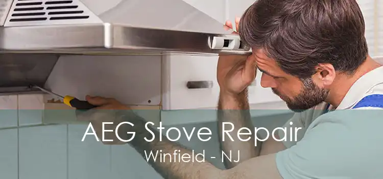 AEG Stove Repair Winfield - NJ