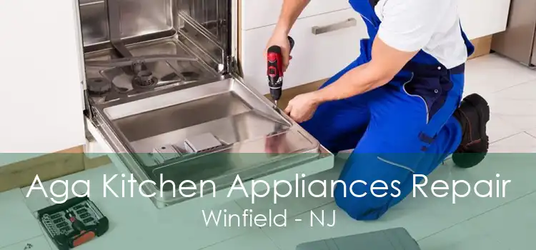 Aga Kitchen Appliances Repair Winfield - NJ