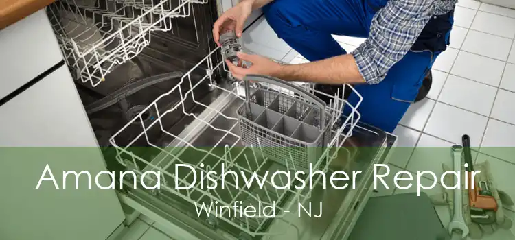 Amana Dishwasher Repair Winfield - NJ