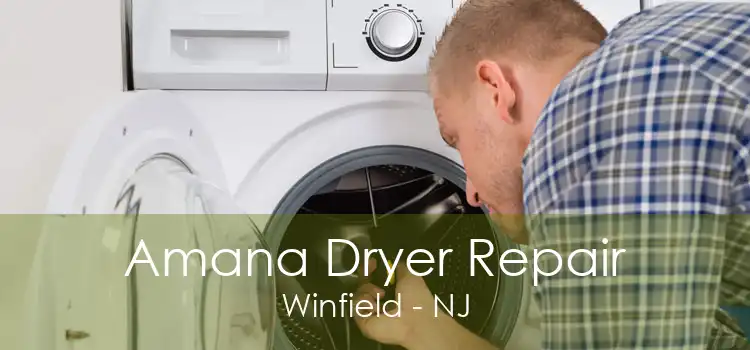 Amana Dryer Repair Winfield - NJ