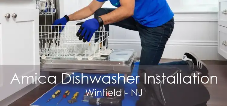Amica Dishwasher Installation Winfield - NJ