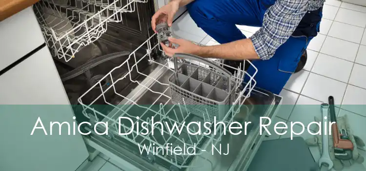 Amica Dishwasher Repair Winfield - NJ