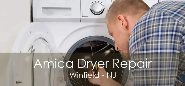 Amica Dryer Repair Winfield - NJ