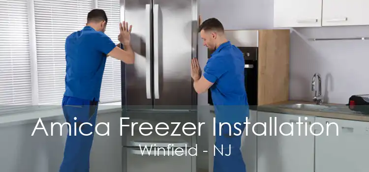 Amica Freezer Installation Winfield - NJ
