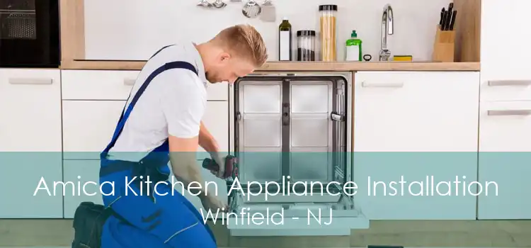 Amica Kitchen Appliance Installation Winfield - NJ