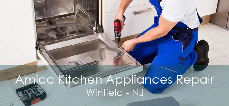 Amica Kitchen Appliances Repair Winfield - NJ