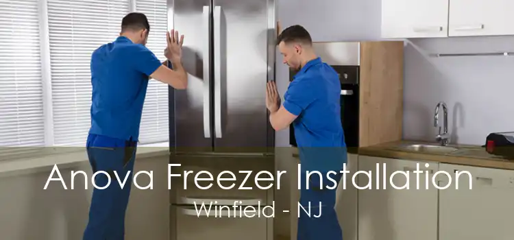 Anova Freezer Installation Winfield - NJ