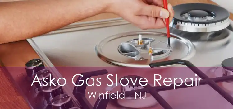 Asko Gas Stove Repair Winfield - NJ