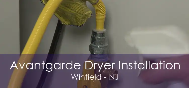 Avantgarde Dryer Installation Winfield - NJ