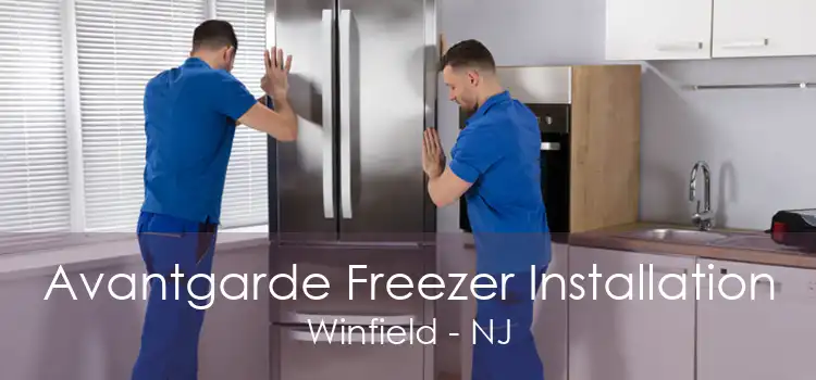 Avantgarde Freezer Installation Winfield - NJ