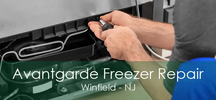 Avantgarde Freezer Repair Winfield - NJ