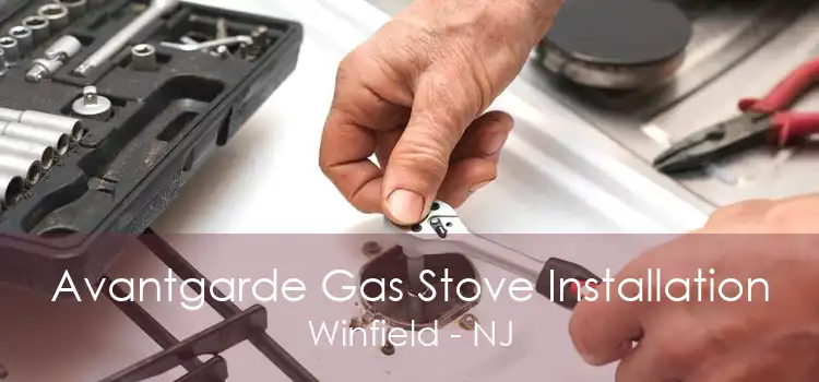 Avantgarde Gas Stove Installation Winfield - NJ