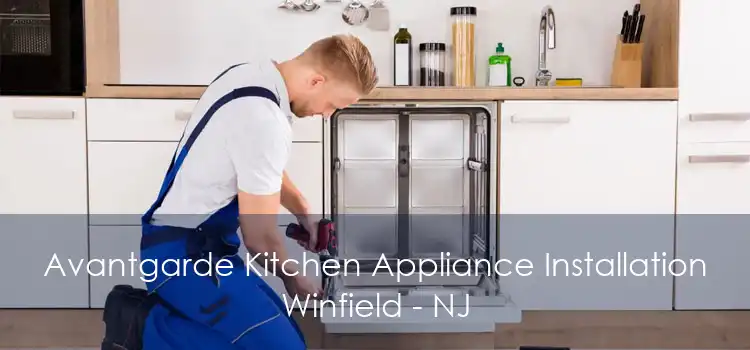 Avantgarde Kitchen Appliance Installation Winfield - NJ