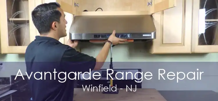 Avantgarde Range Repair Winfield - NJ