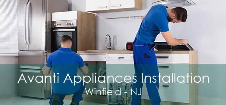 Avanti Appliances Installation Winfield - NJ