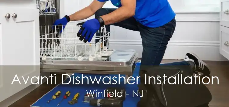 Avanti Dishwasher Installation Winfield - NJ