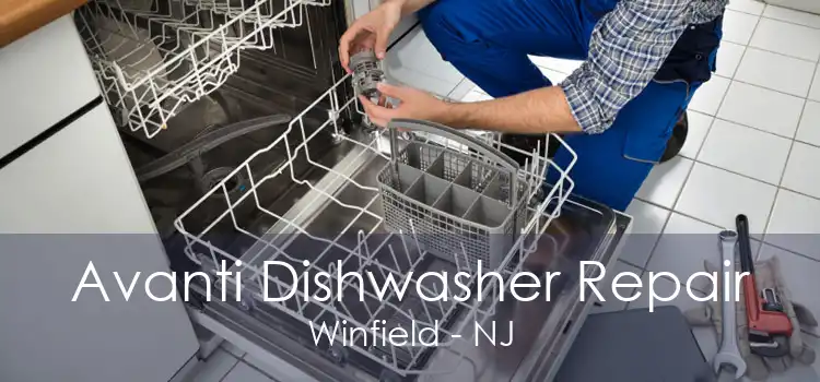 Avanti Dishwasher Repair Winfield - NJ