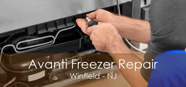 Avanti Freezer Repair Winfield - NJ