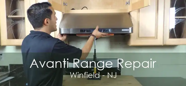 Avanti Range Repair Winfield - NJ