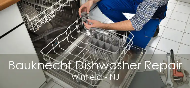 Bauknecht Dishwasher Repair Winfield - NJ