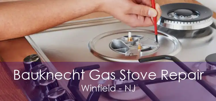 Bauknecht Gas Stove Repair Winfield - NJ
