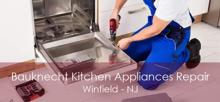 Bauknecht Kitchen Appliances Repair Winfield - NJ