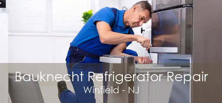 Bauknecht Refrigerator Repair Winfield - NJ