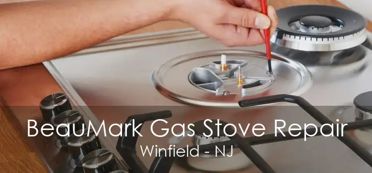 BeauMark Gas Stove Repair Winfield - NJ