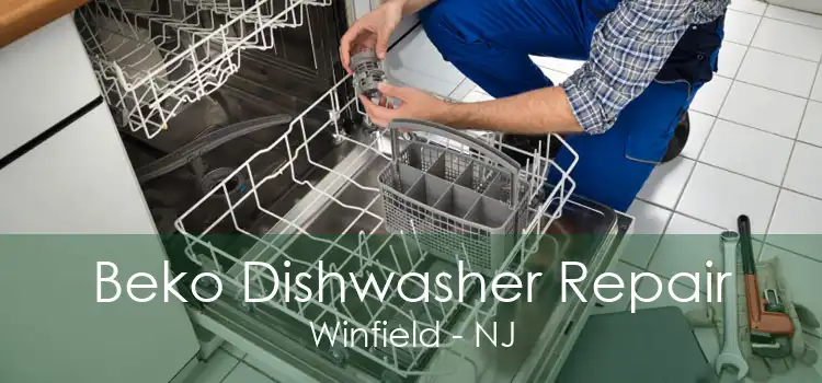 Beko Dishwasher Repair Winfield - NJ
