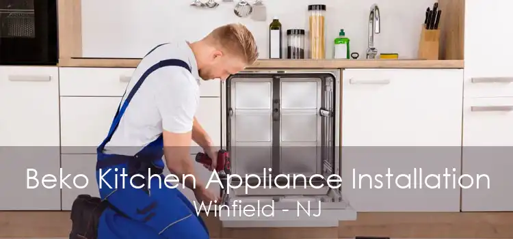 Beko Kitchen Appliance Installation Winfield - NJ