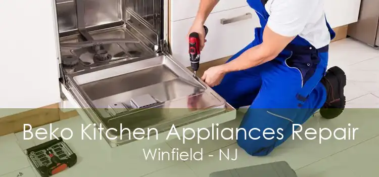 Beko Kitchen Appliances Repair Winfield - NJ