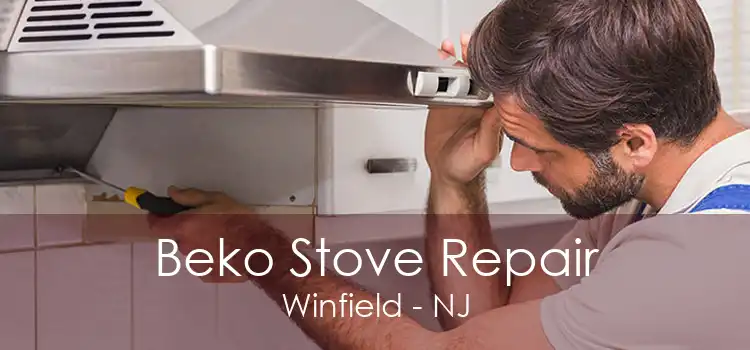 Beko Stove Repair Winfield - NJ