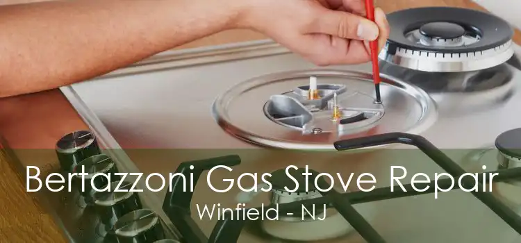 Bertazzoni Gas Stove Repair Winfield - NJ