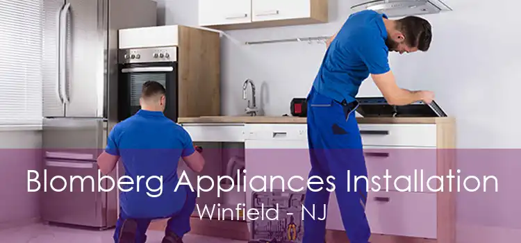 Blomberg Appliances Installation Winfield - NJ
