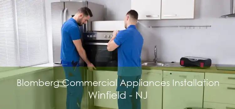 Blomberg Commercial Appliances Installation Winfield - NJ