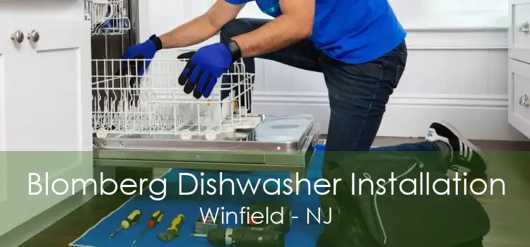 Blomberg Dishwasher Installation Winfield - NJ