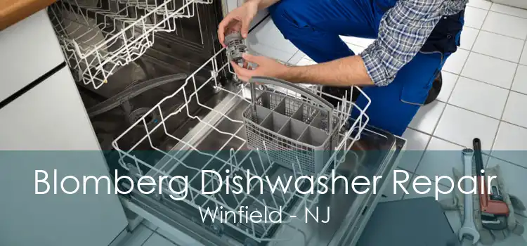 Blomberg Dishwasher Repair Winfield - NJ